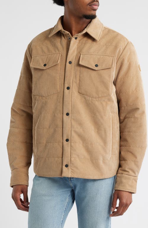 Save The Duck Magnus Water Repellent Corduroy Shirt Jacket In Brown