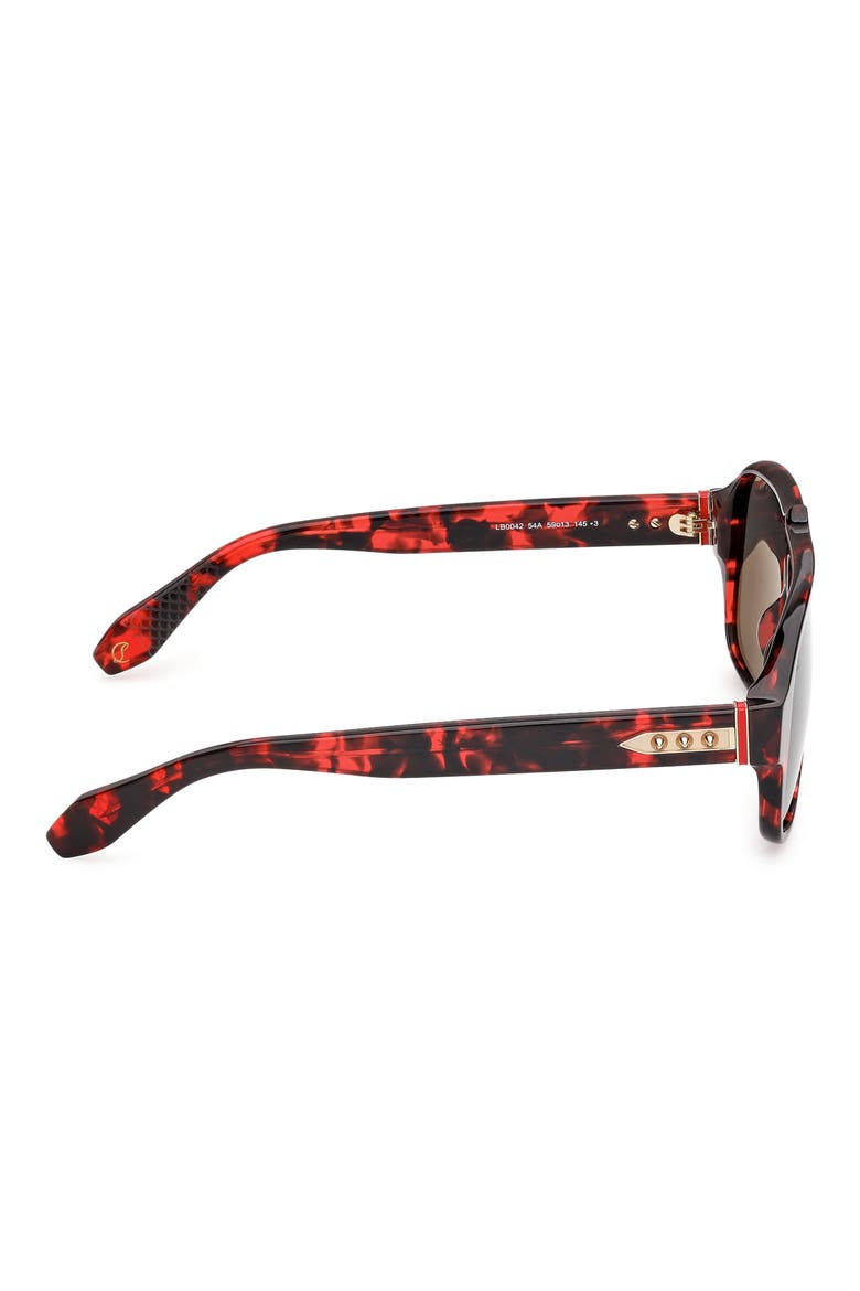 59mm Navigator Sunglasses, Alternate, color, RED HAVANA / GOLD / ZEISS