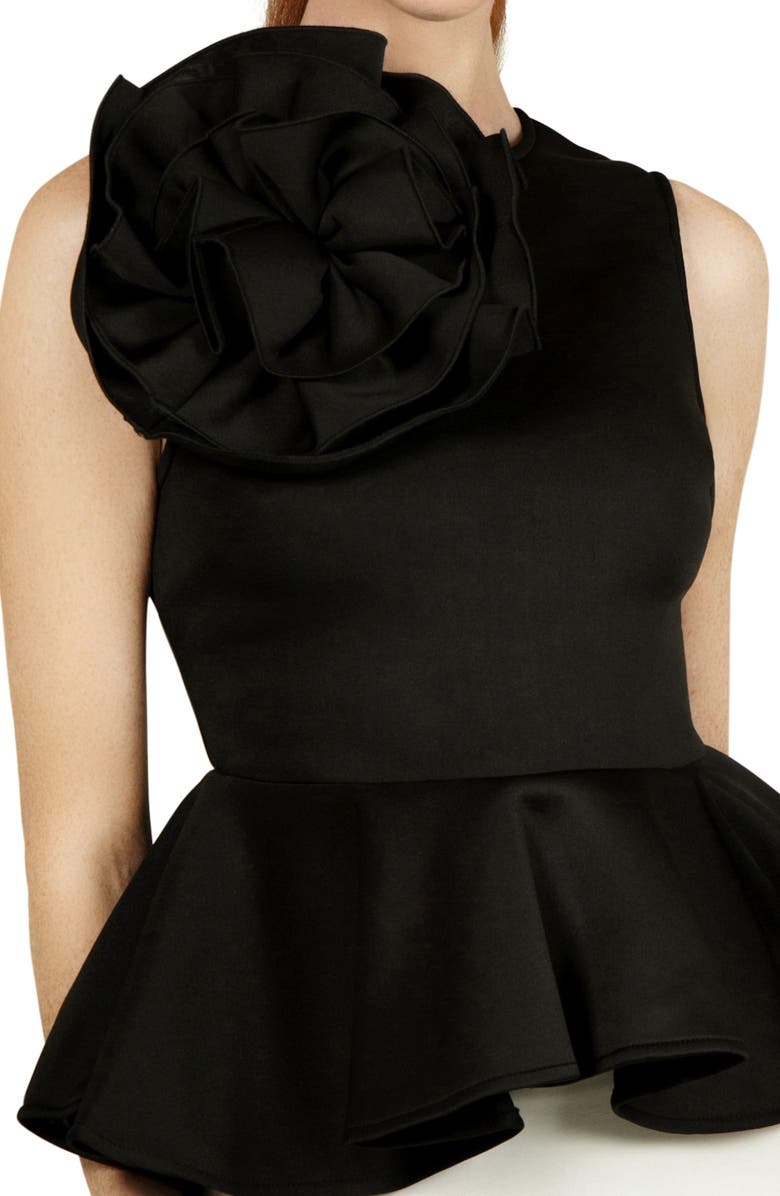 NIKKI LUND Corsage Sleeveless Peplum Top, Alternate, color,