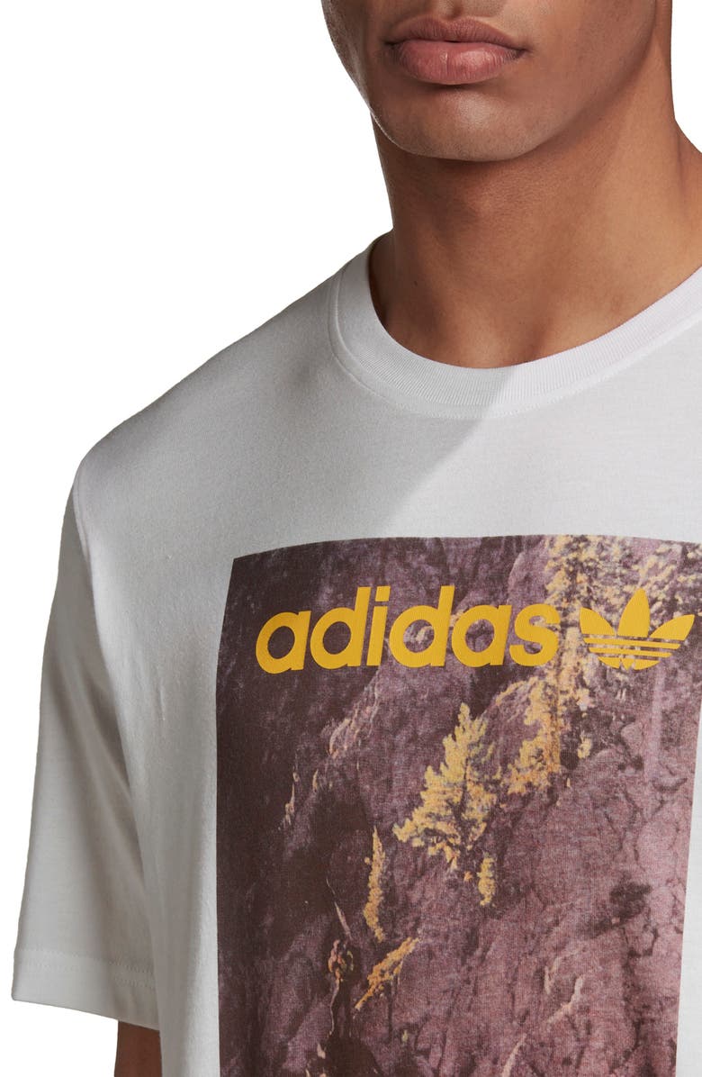 adidas Originals Logo Cotton Graphic Tee, Alternate, color, 
