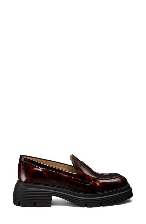 Stuart Weitzman Hudson Lite Loafer In Brown