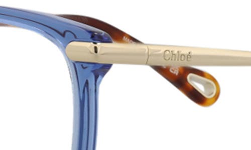 Chloé Women's Ch0058oa 53mm Optical Frames In Brown Gold Transparent