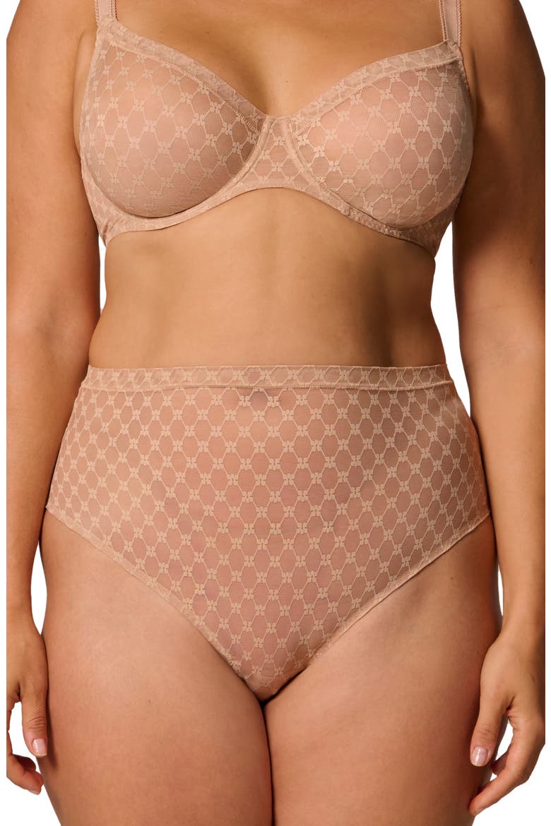 Plume Embroidered High Waist Shaping Thong, Alternate, color, PEAU ROSE