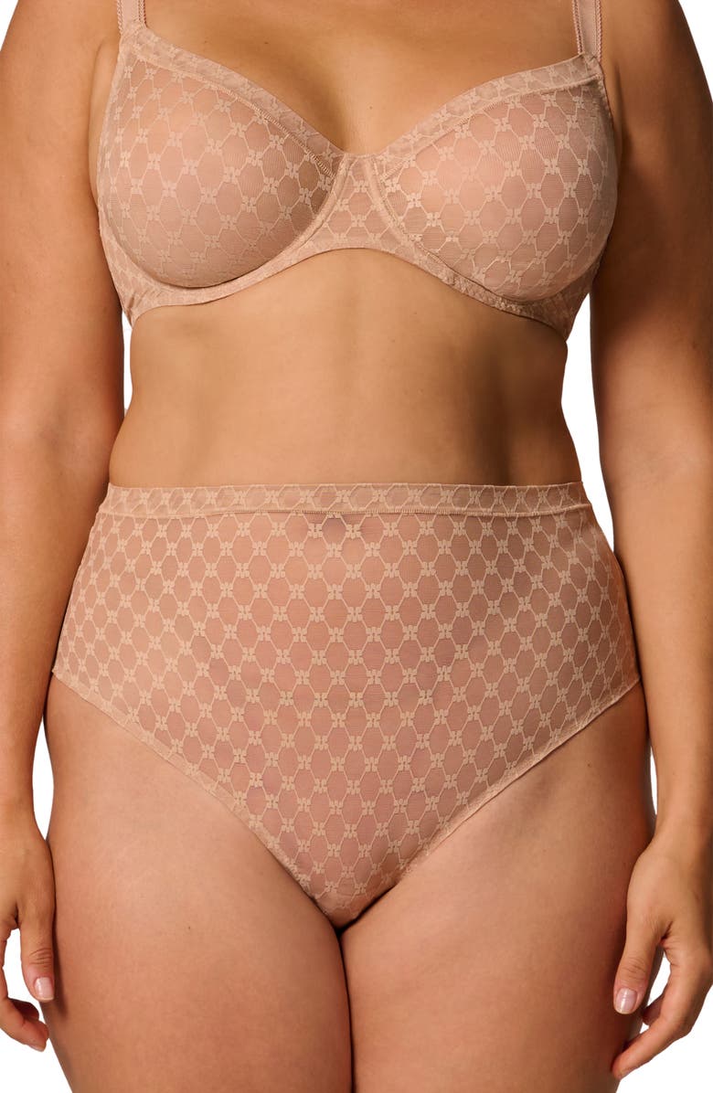 Simone Perele Plume Embroidered High Waist Shaping Thong, Alternate, color, Peau Rose