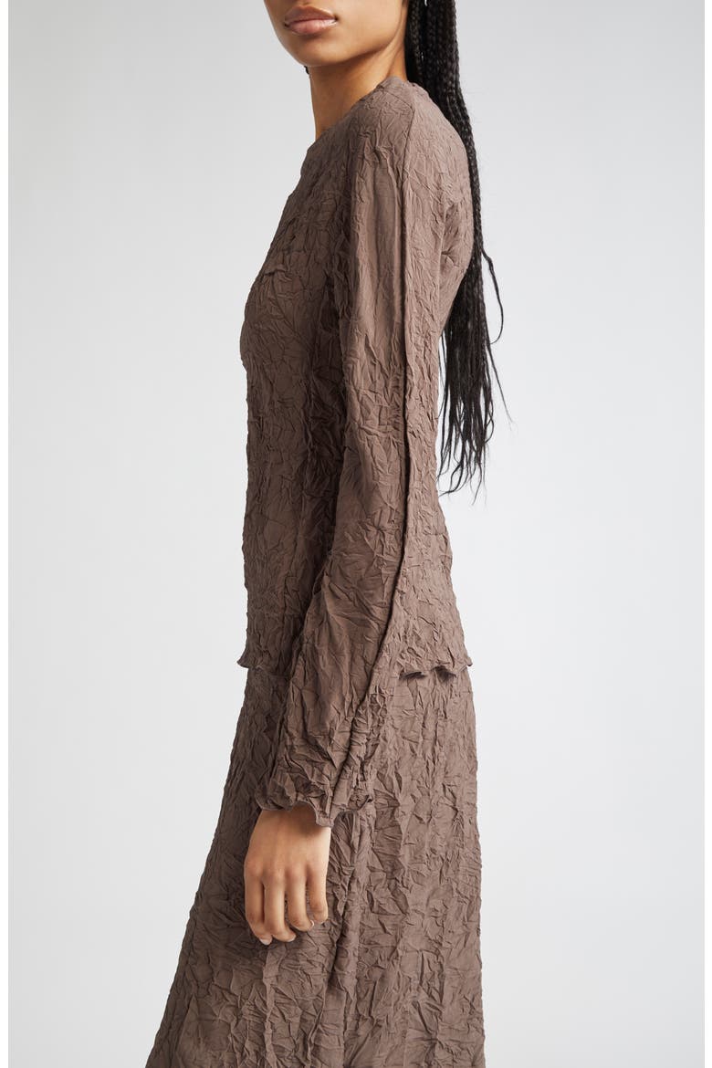 Long Sleeve Crinkle Top, Alternate, color, BROWN