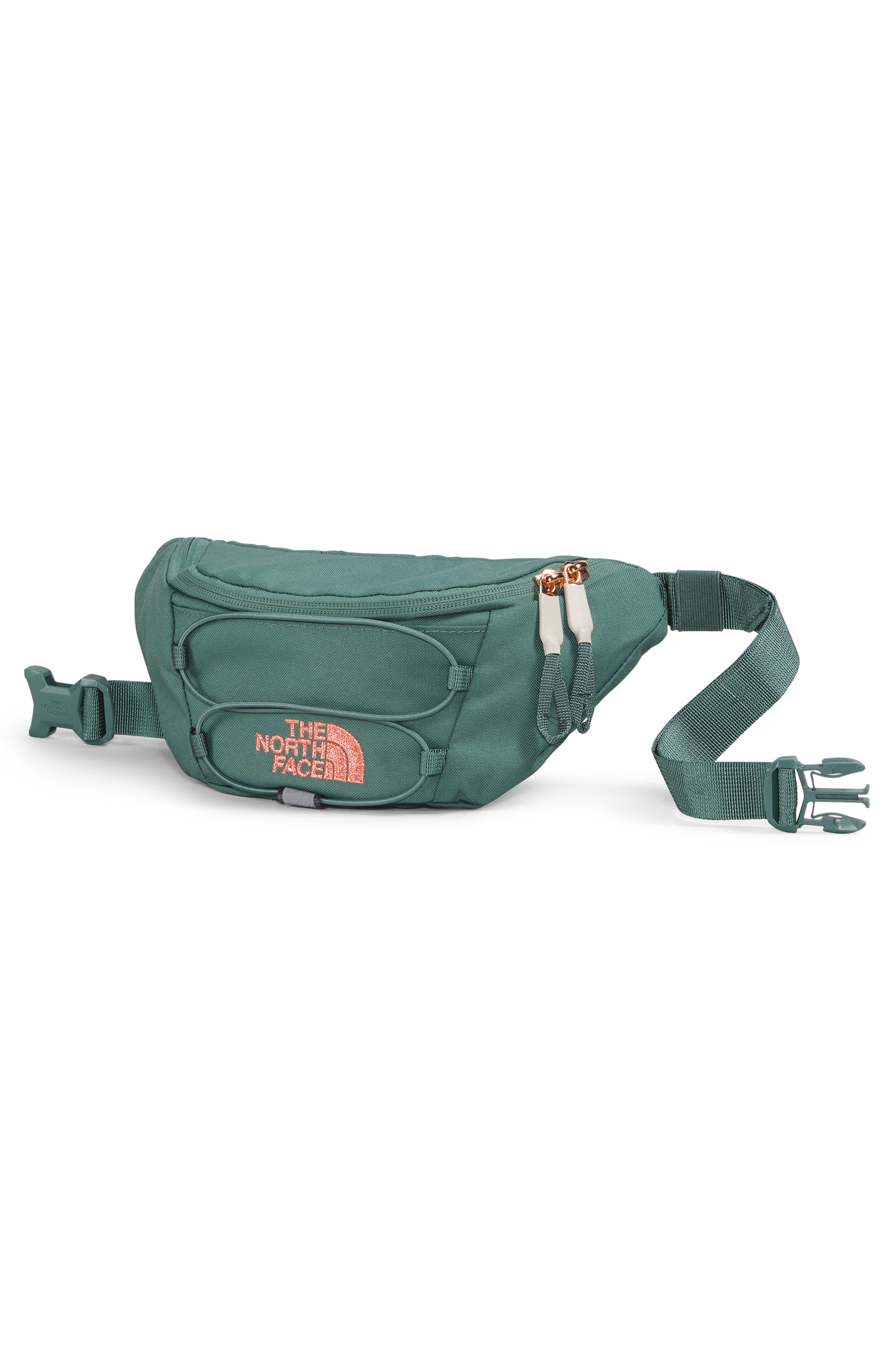 The North Face Jester Lumbar Luxe Belt Bag, Alternate, color, 