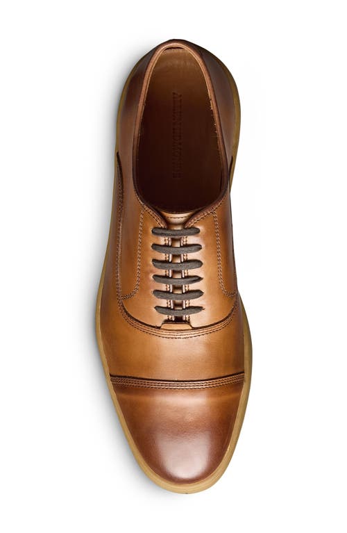 Allen Edmonds Park 2.0 Sneaker In Walnut