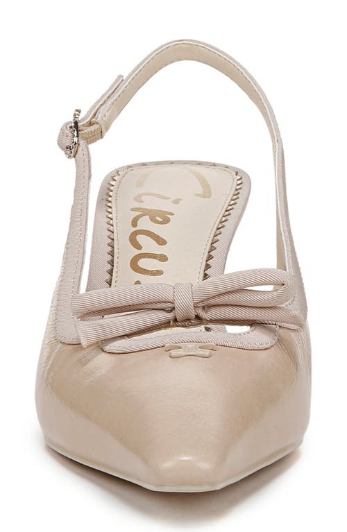 Circus Ny By Sam Edelman Cassidy Pointed Toe Slingback Pump