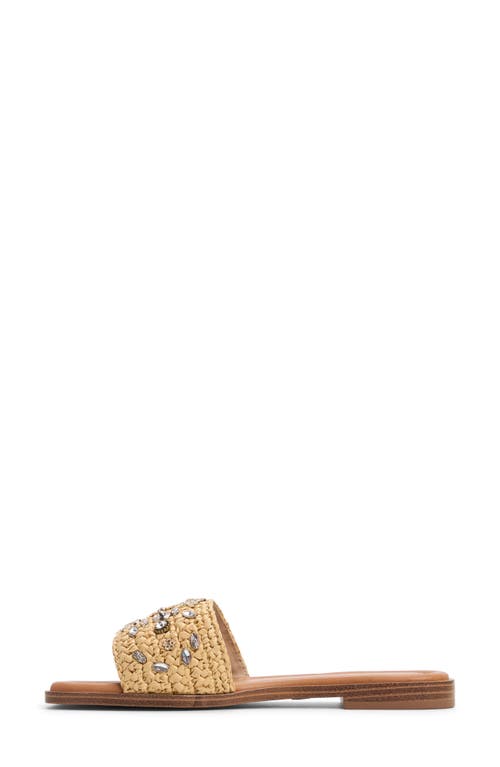 Aldo Coralynne Slide Sandal In Open Natural