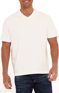Threads 4 Thought Roger Relaxed Fit V-Neck Cotton Jersey T-Shirt