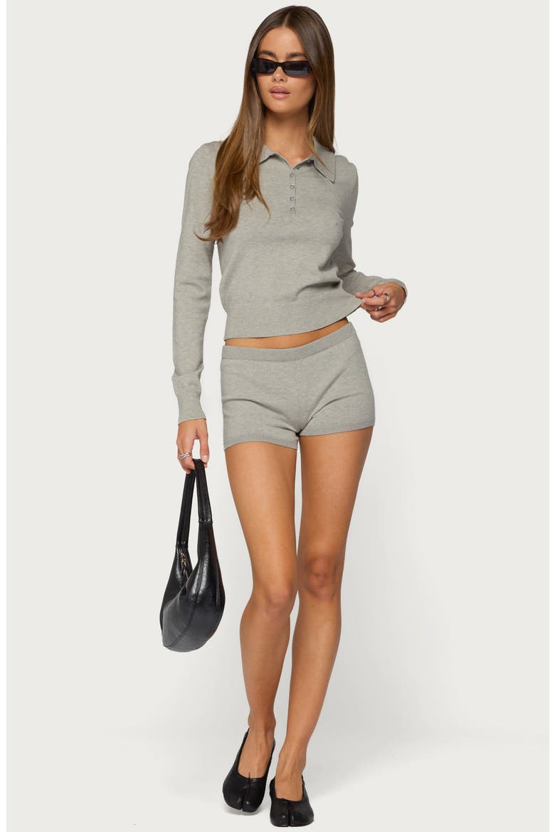Edele Long Sleeve Polo Top, Alternate, color, LIGHT-GRAY-MELANGE
