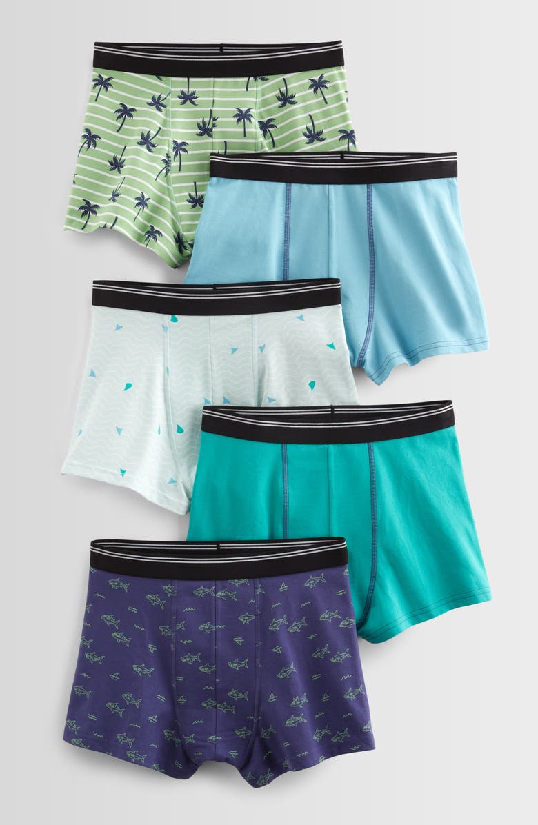 Nordstrom Kids' Assorted 5-Pack Boxer Briefs, Main, color, Green Patch Palm Stripe Pack