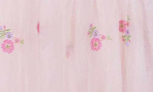 Zunie Kids' Embroidered Mesh Dress