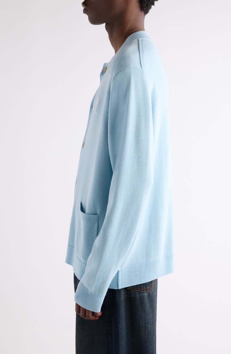 Acne Studios Kadave Merino Wool Cardigan, Alternate, color, Ice Blue