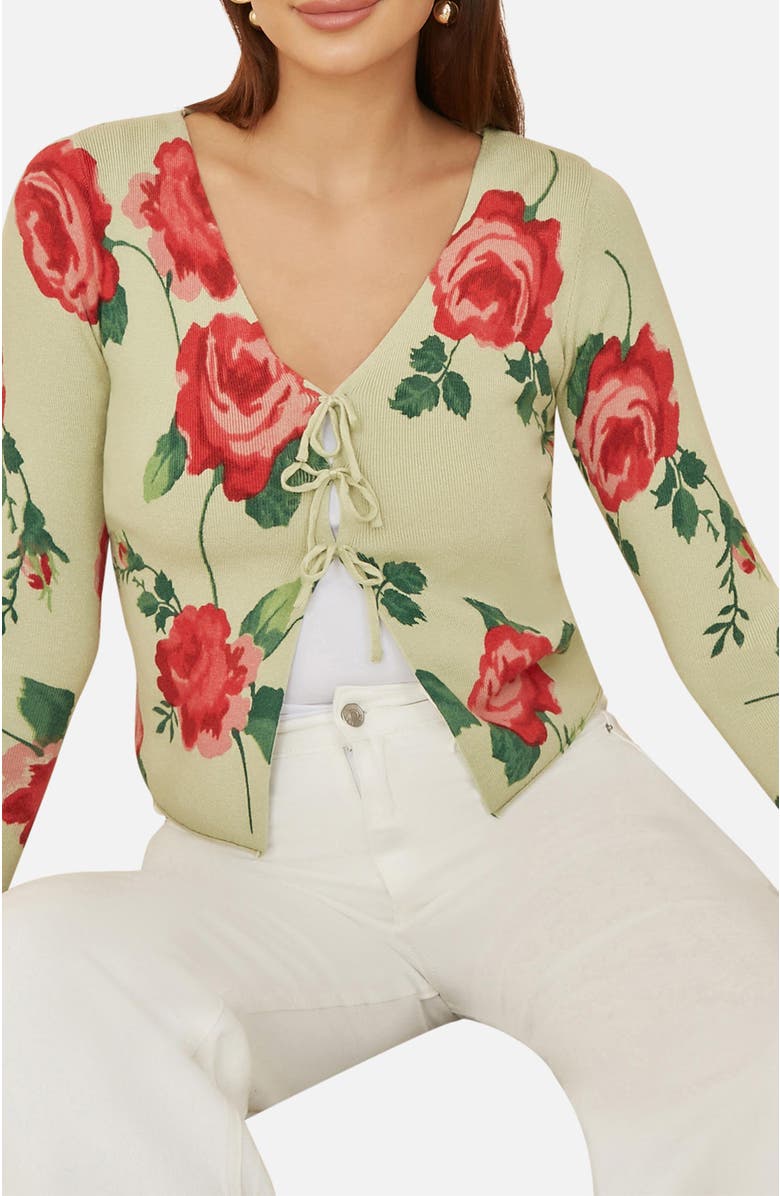 Yumi Long Sleeve V-Neck Tie Front Cardigan, Alternate, color, Green