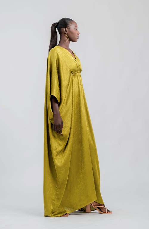 Diarrablu Naim Dress In Ayel Olive