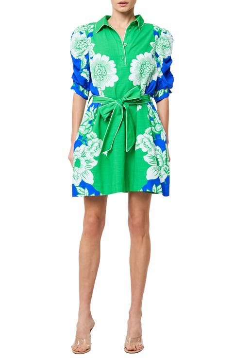 Annsley Print Tie Waist Minidress