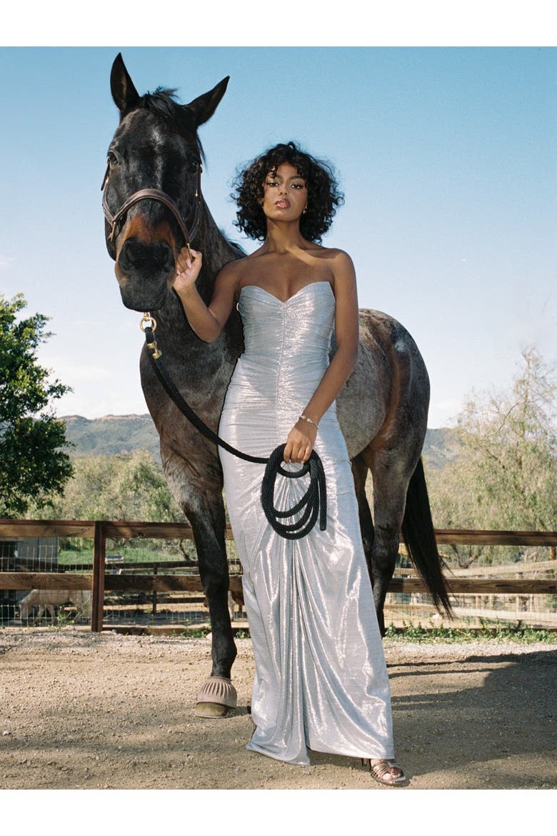 Sable Ruched Glitter Mermaid Gown, Alternate, color, Silver