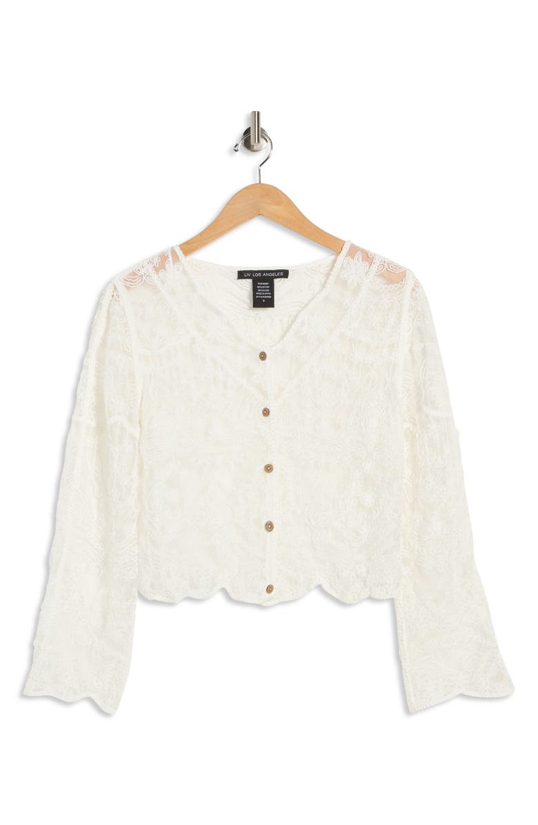 Forgotten Grace Embroidered Mesh Long Sleeve Top, Main, color, Natural