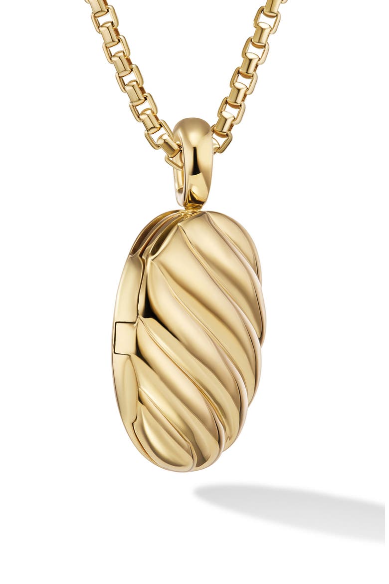 Sculpted Cable Locket, Alternate, color, 18K YELLOW GOLD