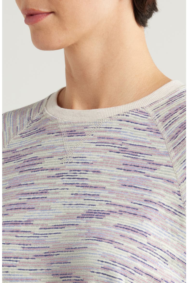 Reversible Space Dye Raglan Sleeve Top, Alternate, color, NAVY SPACE DYE
