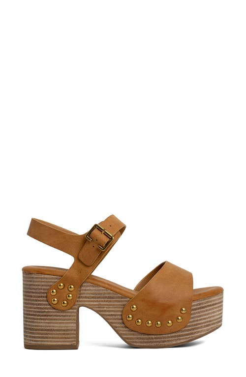 Shushop Gia Ankle Strap Platform Sandal In Brown