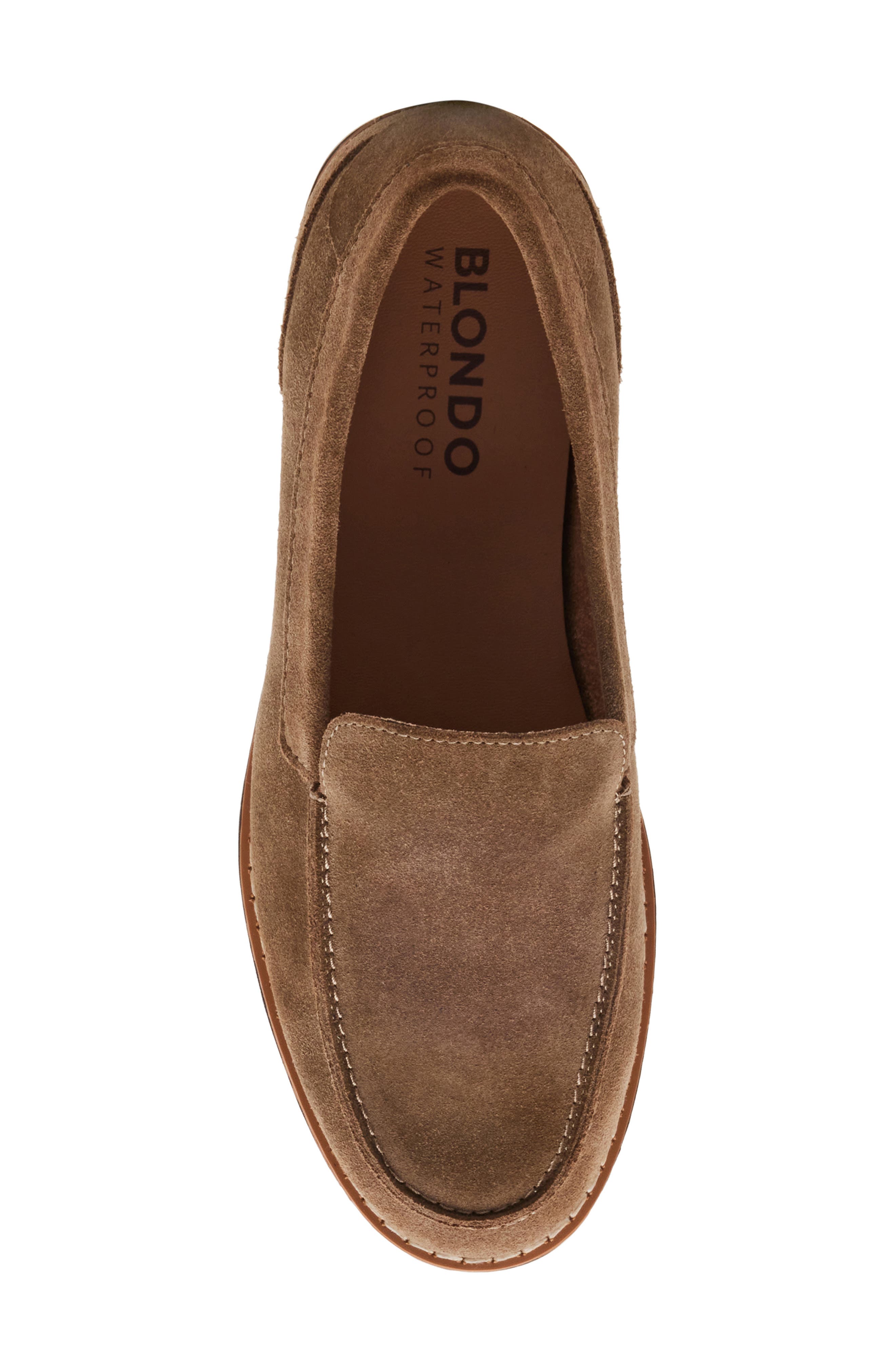 Blondo Libra Waterproof Loafer, Alternate, color, 