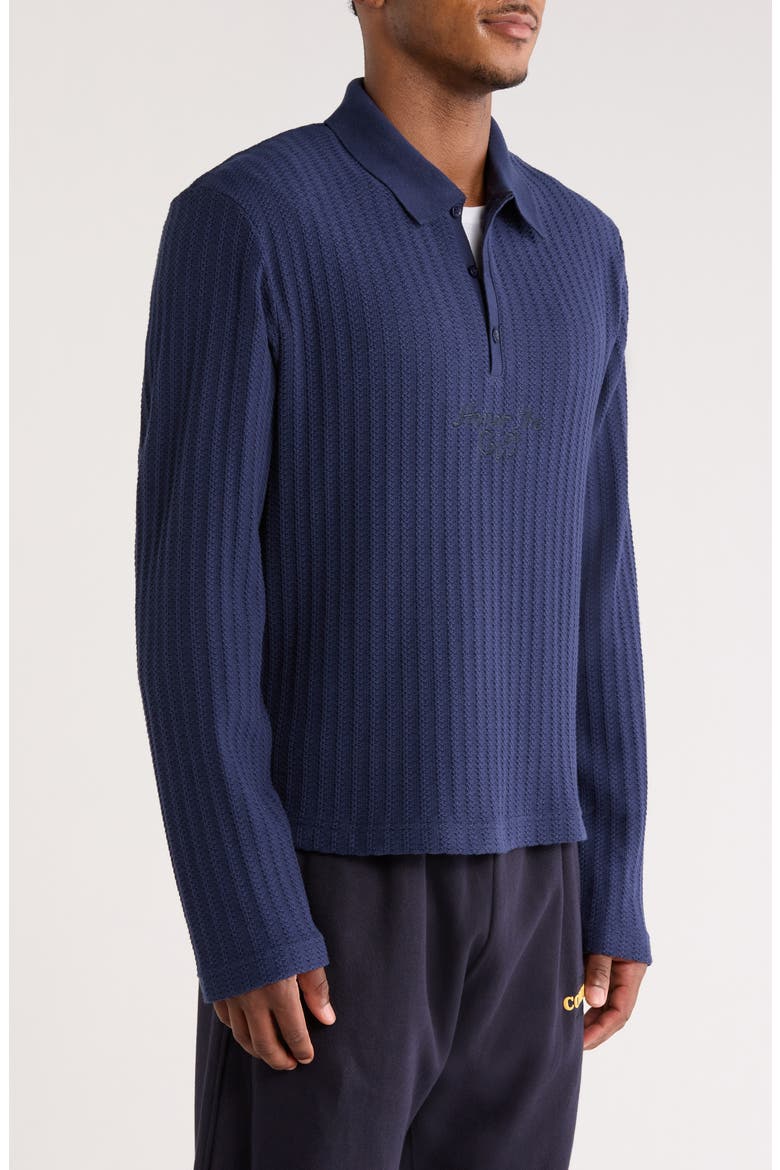 Long Sleeve Polo, Alternate, color, NAVY