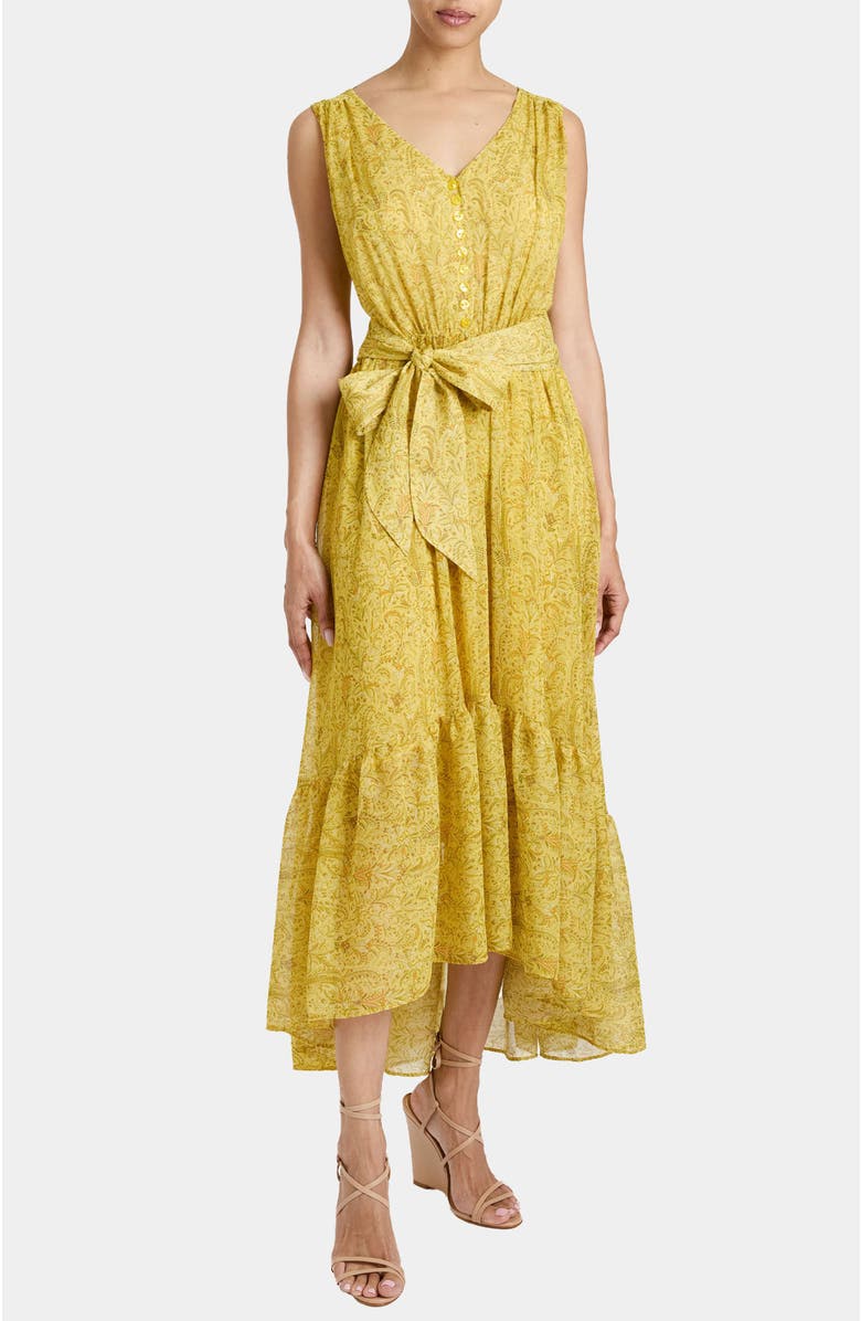 Santorelli LANITA Sleeveless Fit and Flare Hi Lo Dress in Printed Georgette, Main, color, 