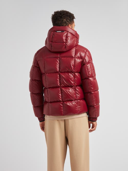 Jack1t Ez Boxed Hooded Racer Puffer Jacket In Red