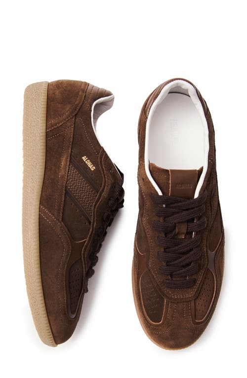 Shop Alohas Tb.490 Rife Sneaker In Brown