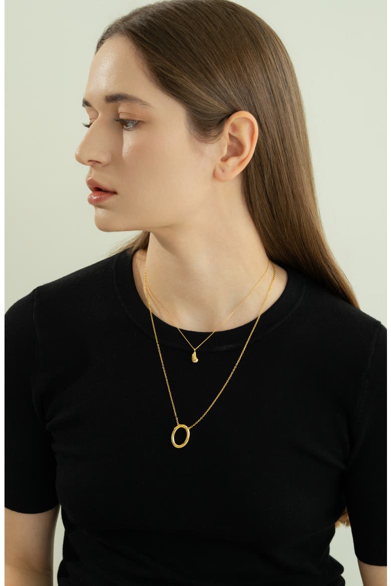 Sterling Silver 18k Gold Plated Brynn Circle Necklace Dainty Chic, Alternate, color, Gold