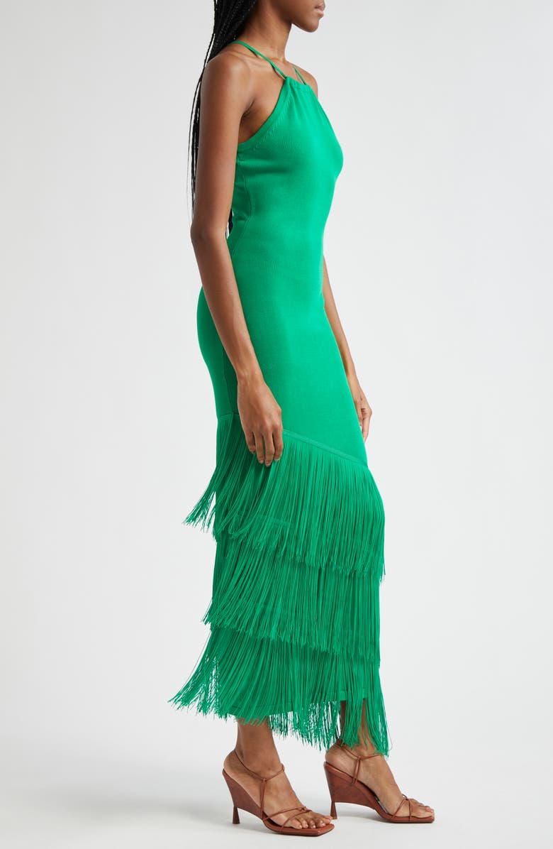 Elexiay Lokoja Sleeveless Fringe Hem Dress, Alternate, color, 