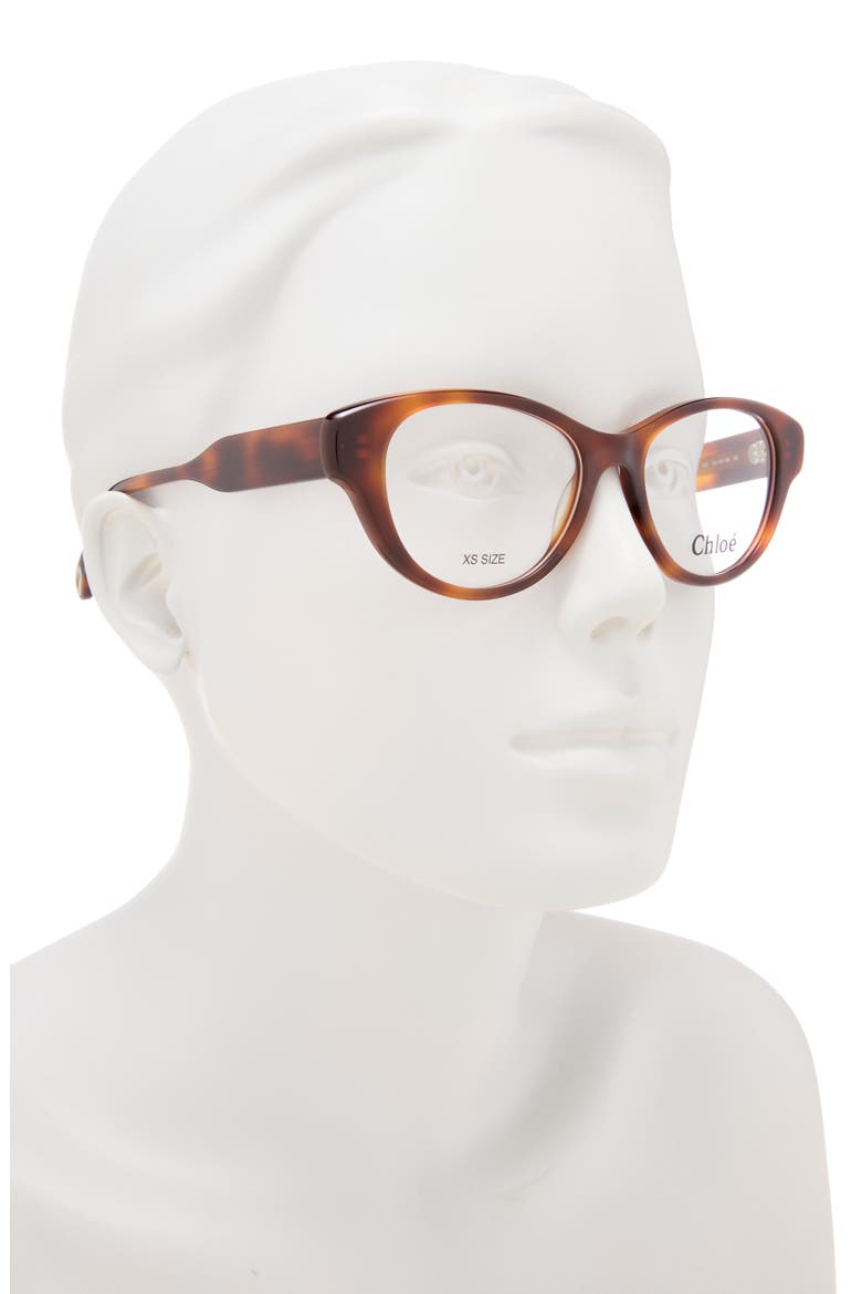 50mm Cat Eye Optical Glasses, Alternate, color, HAVANA HAVANA TRANSPARENT