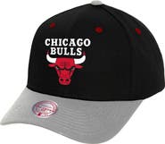 Mitchell & Ness Men's Mitchell & Ness Black/Gray Chicago Bulls Pro Crown Adjustable Hat