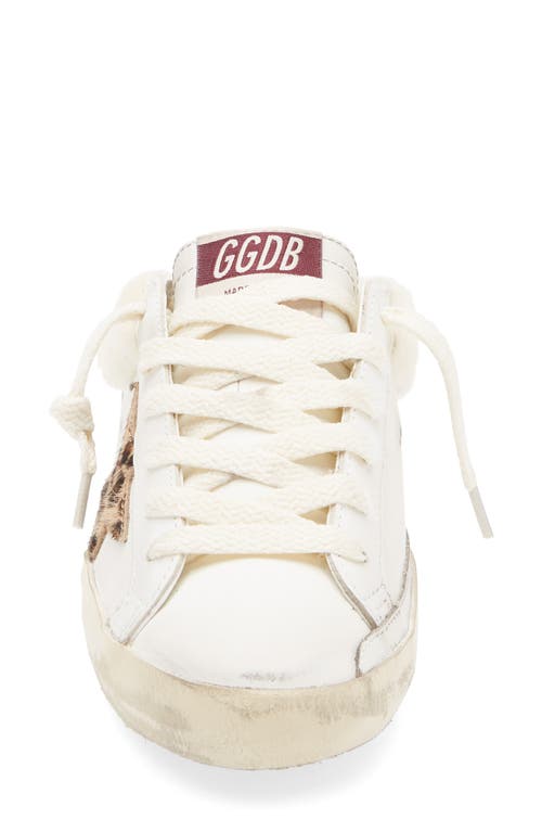 Golden Goose Super-star Sabot Geniune Shearling Mule Sneaker In White/leopard/beige