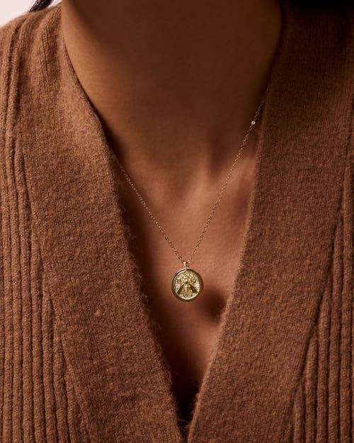 Electric Picks Honey Bee Coin Necklace In Gold