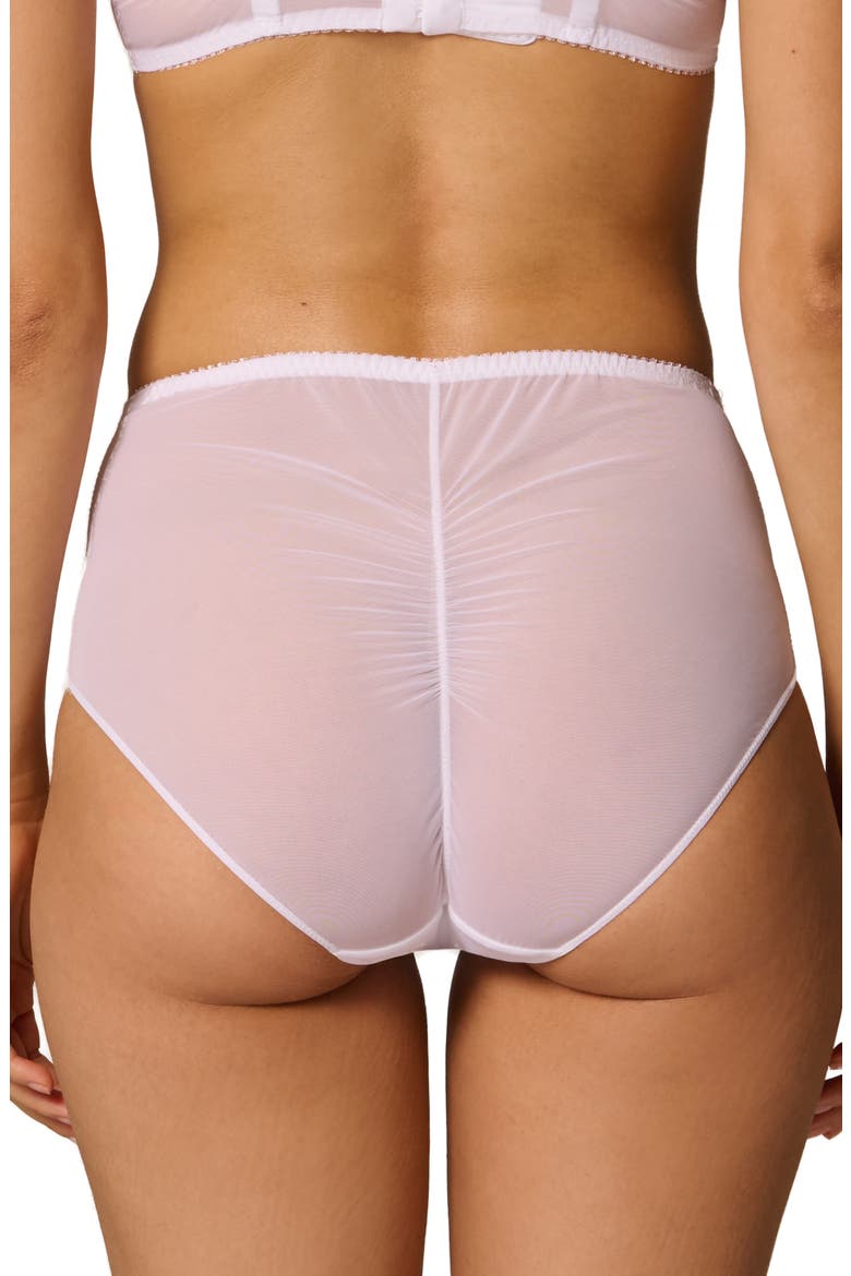 Intrigue Floral Embroidered Briefs, Alternate, color, WHITE