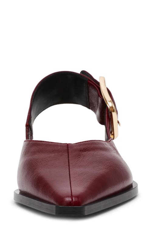 Steve Madden Shay Pointed Toe Slingback Flat In Burgundy
