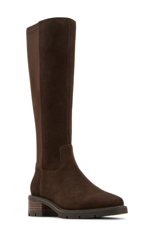 Blondo Harriet Waterproof Knee High Boot In Brown