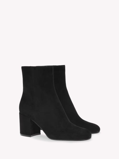 Gianvito Rossi Block Heel Ankle Boots With Suede Finish In Black