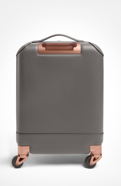 Aviteur Calfskin Lucite Handle Carry-on 19 Luggage In Gray
