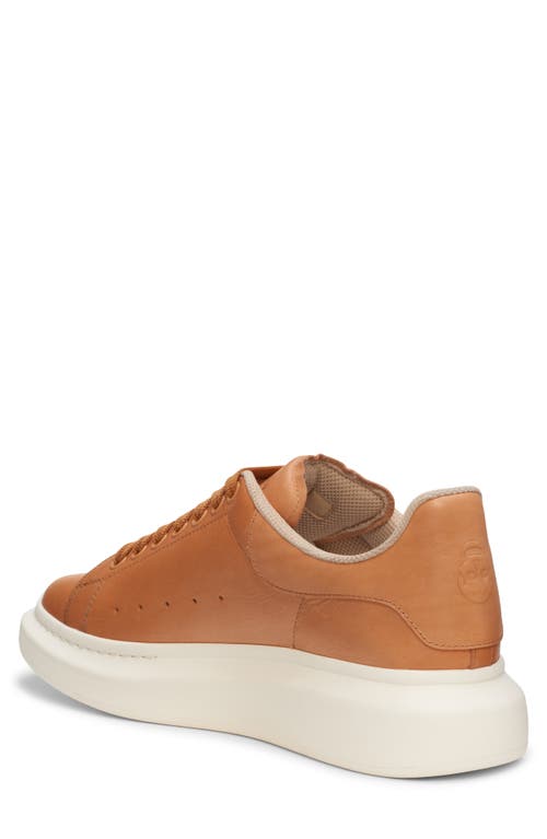 Alexander Mcqueen Caramel Leather Sneakers With Caramel Leather Heel In Natural