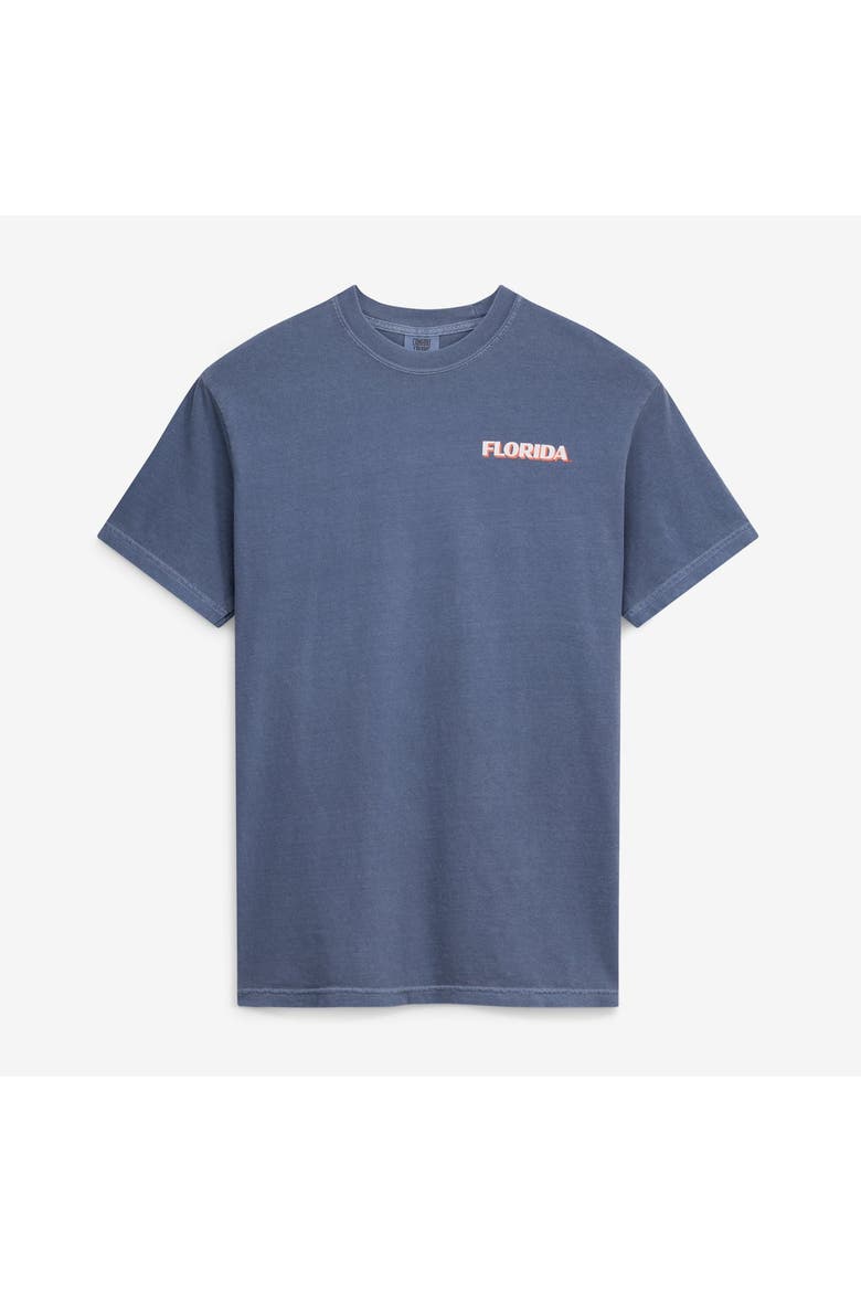 Men's  Navy Florida Gators Comfort Colors Team Statue T-Shirt, Alternate, color, Navy