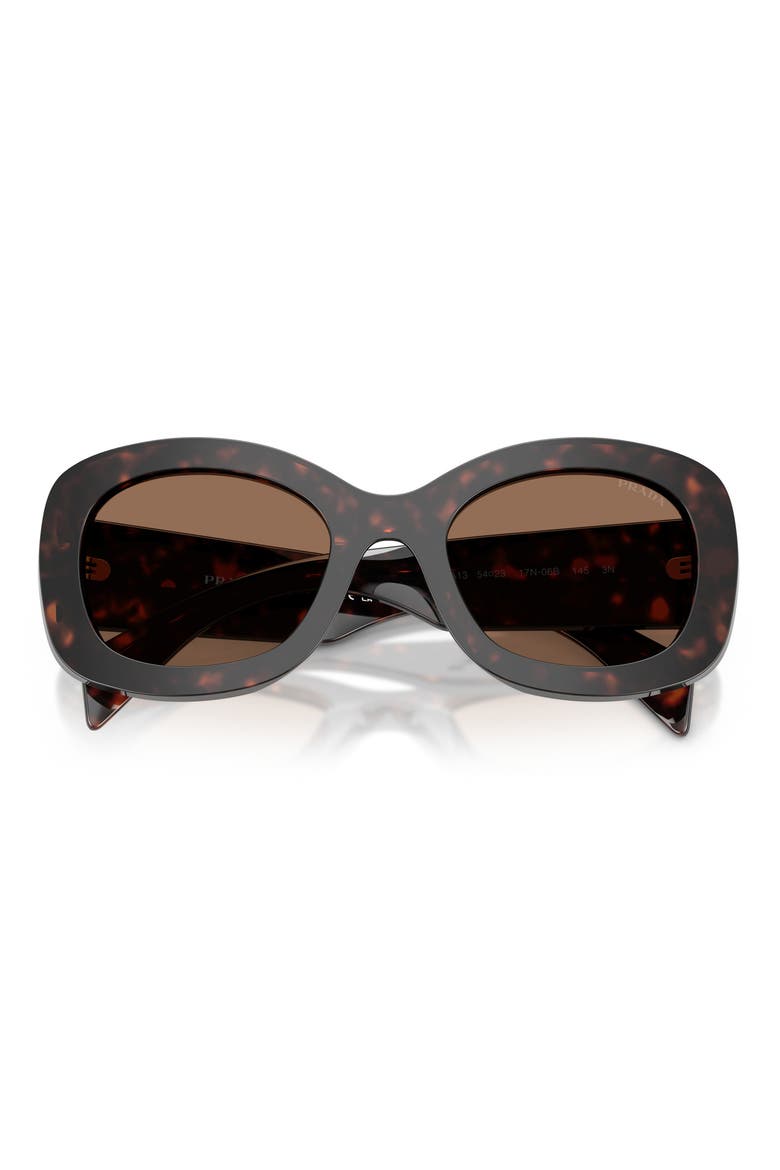 54mm Oval Sunglasses, Alternate, color, DARK HAVANA/ DARK BROWN