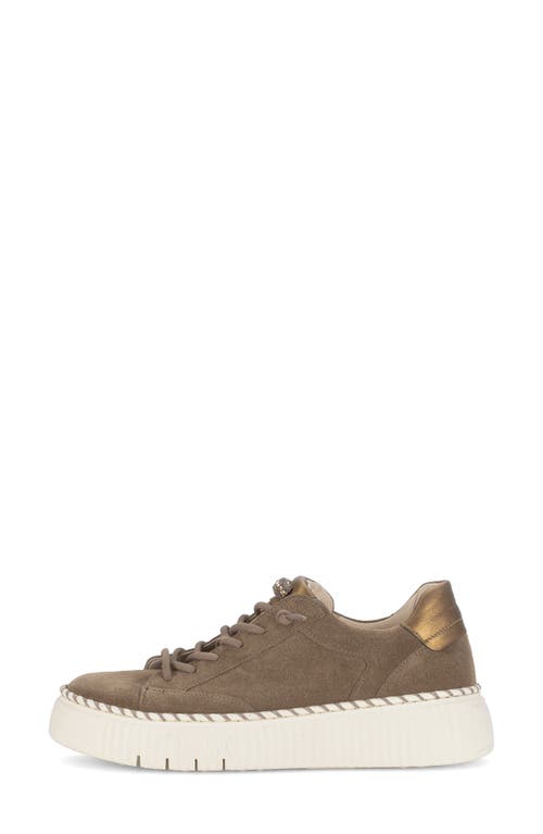 Gabor Low Top Sneaker In Animal Print