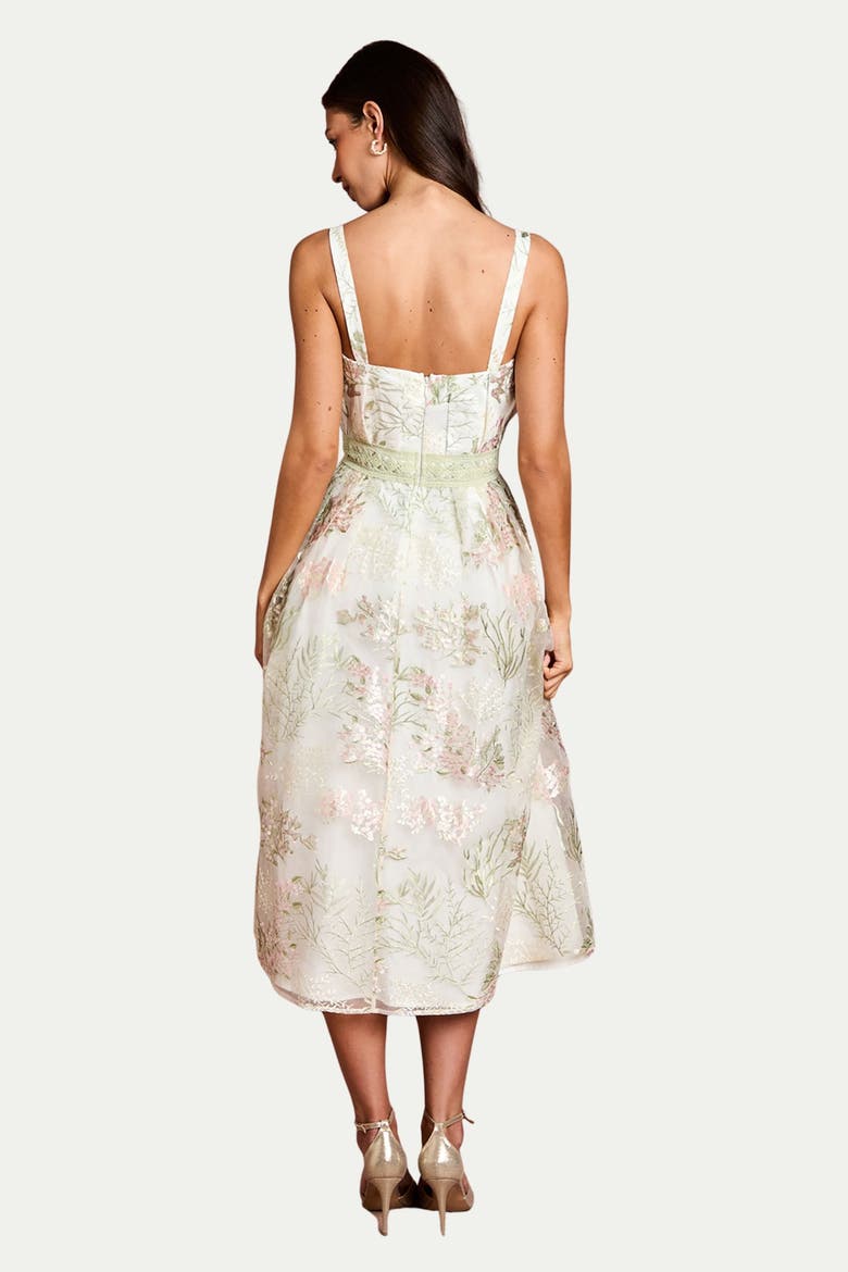 Fan Bodice Embroidered Mesh Midi Dress, Alternate, color, Ivory