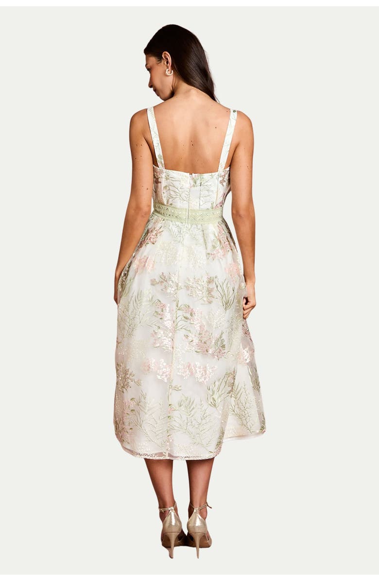Coast Fan Bodice Embroidered Mesh Midi Dress, Alternate, color, Ivory