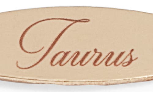 Set & Stones Engraved Zodiac Pendant