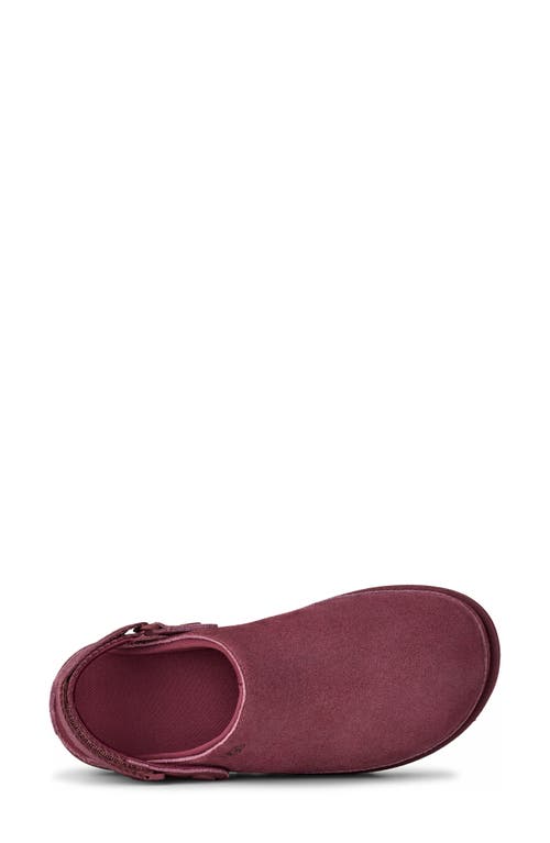 Ugg(r) Goldenstar Clog In Burgundy
